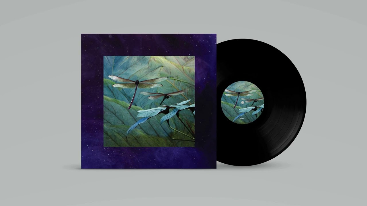 BRYZ - Internal Flight [STORY003]