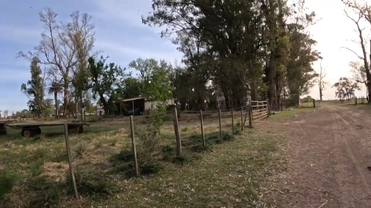 Conserva 