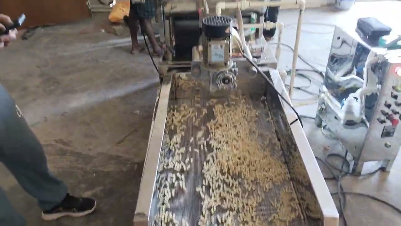 Lastest installation Asam silchar 💞 100kg pr/hour pasta Opretor k liye contact kare 8825307605