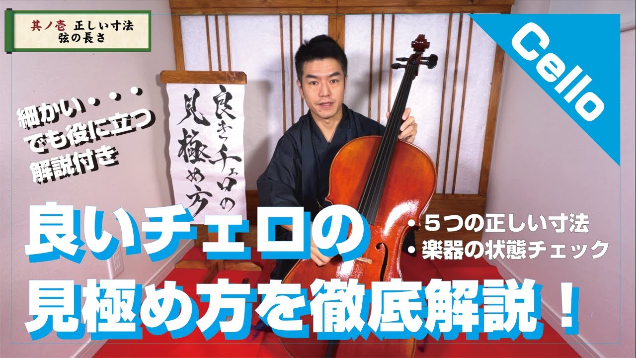【はじめてのチェロ選び】良いチェロの見極め方を徹底解説！#バイオリン #チェロ #Violoncello
