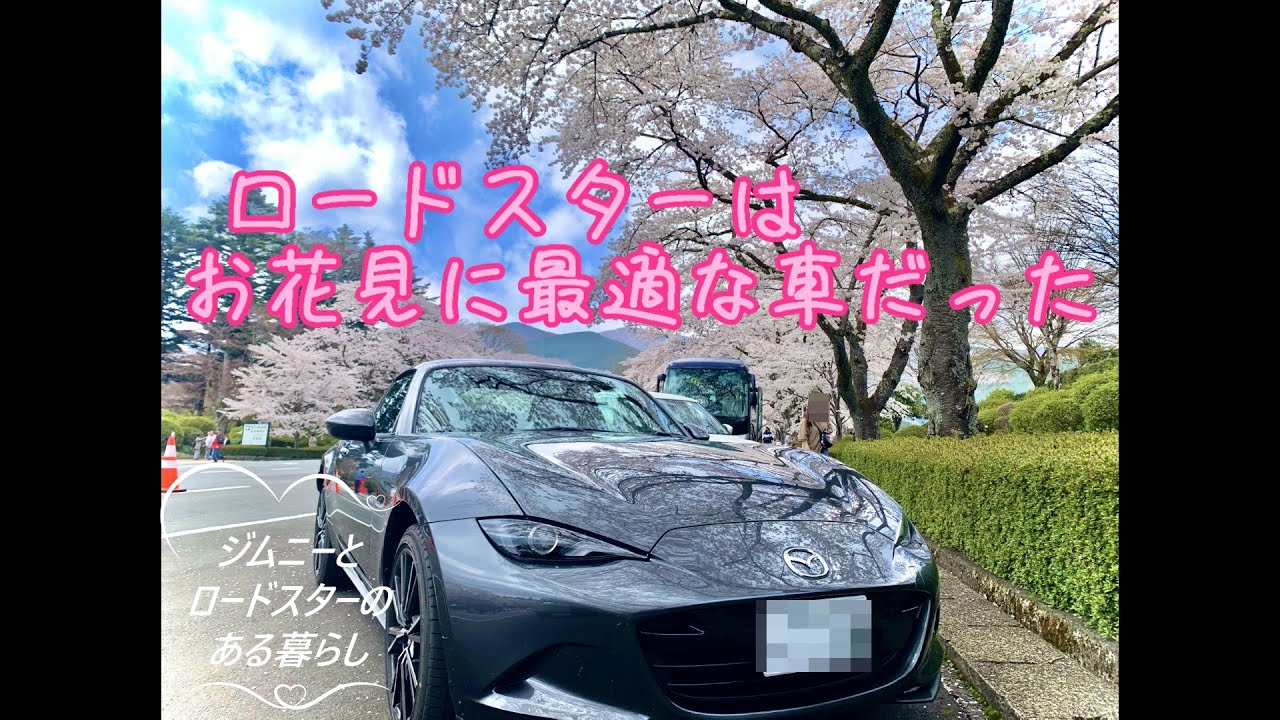 ロードスターはお花見と相性抜群だった