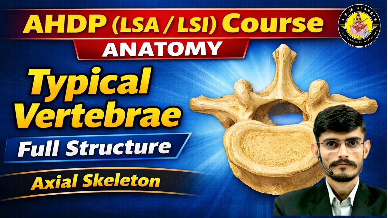 Typical Vertebrae Structure | AHDP 1st Year Anatomy | Axial Skeleton Vertebrae | JSM Classes