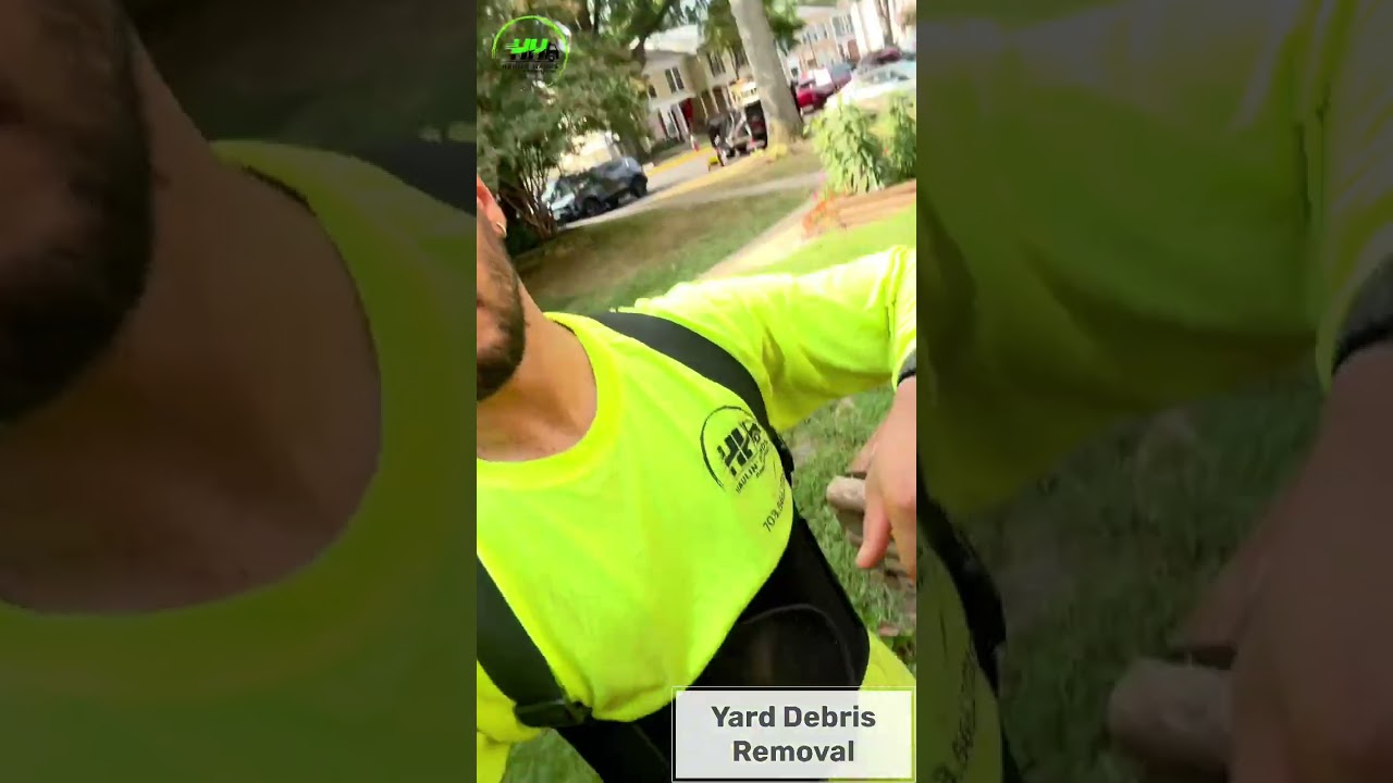 Yard Debris Cleanup