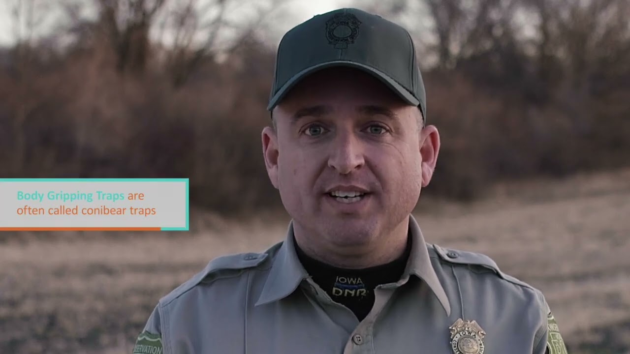 Правила и этикет охоты с помощью ловушек