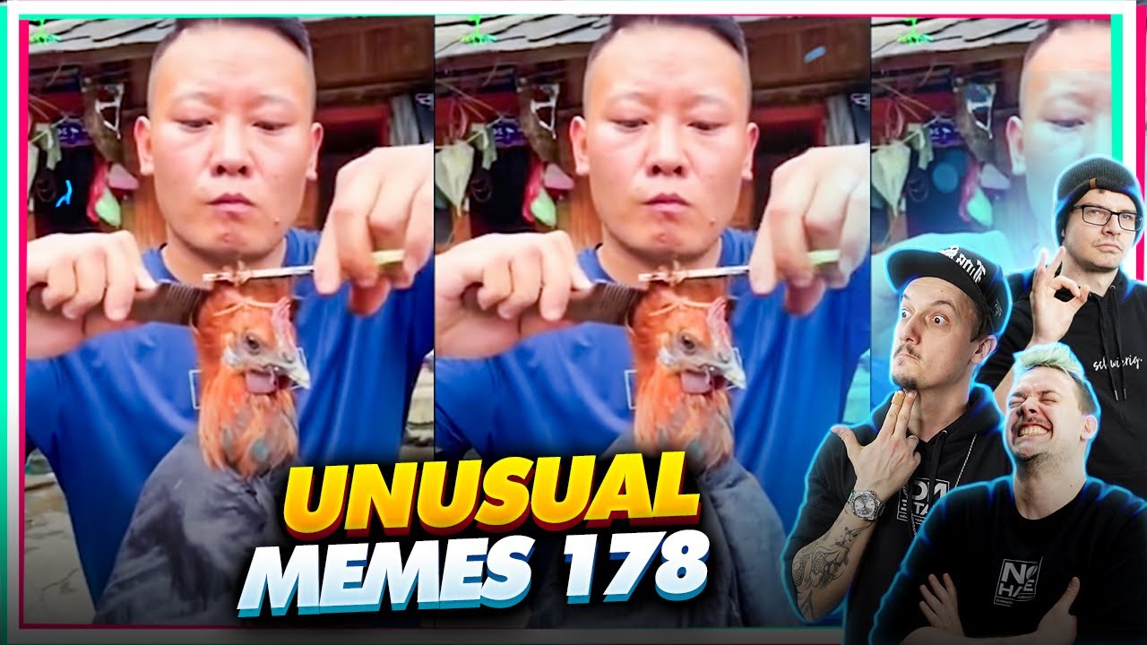 DEN HAB ICH GEFÜHLT! Unusual Memes 178 | Reaktion