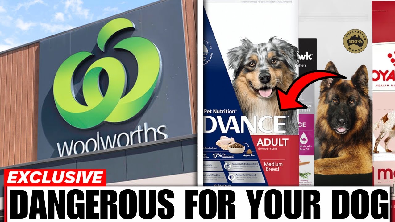 11 Dog Food Brands Australians Should Never Buy (And The 4 That Are Worth It)