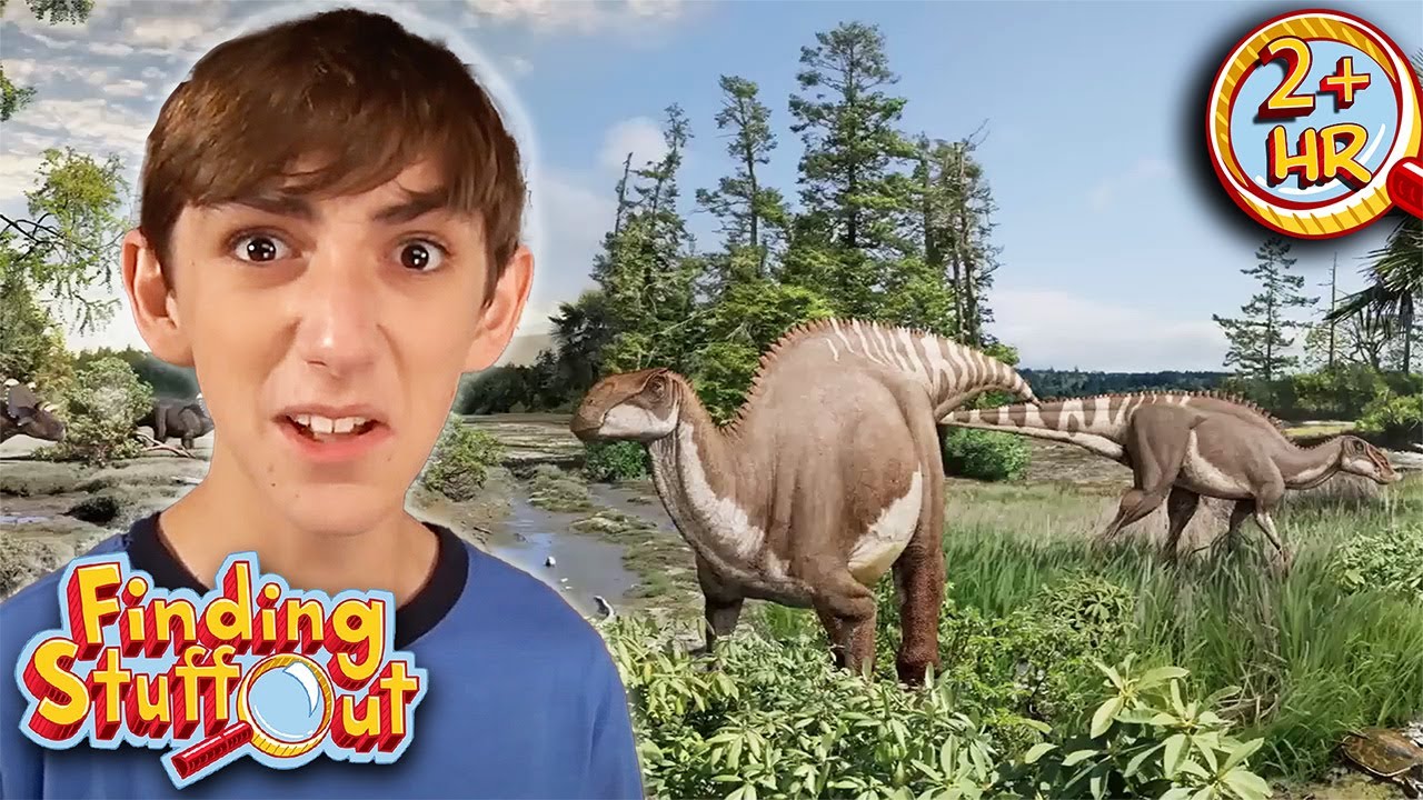 Real Life Dragons?! Exploring the World’s Giant Reptiles | Finding Stuff Out Scholastic After School