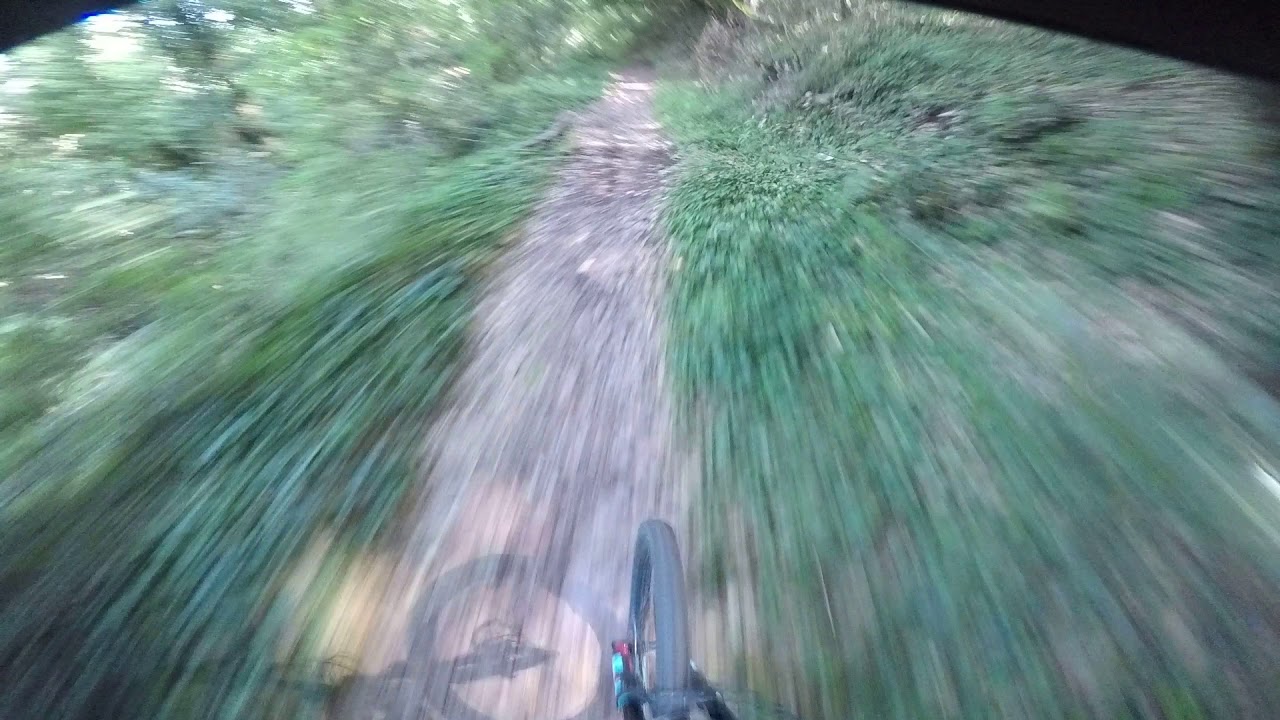 Monsummano alto freeride