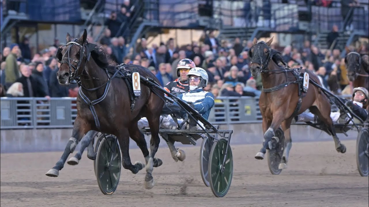 Svenskt Trav Oaks 2025
