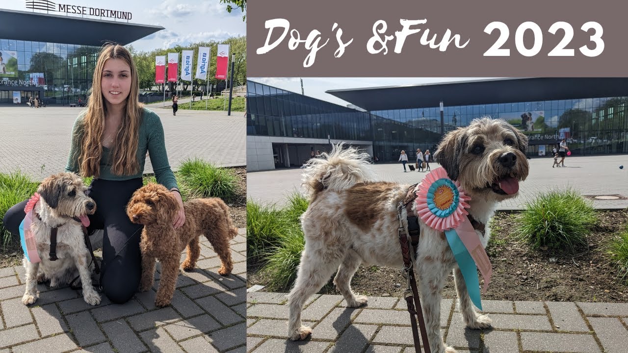 Dogs& Fun 2023- Hundemesse Dortmund
