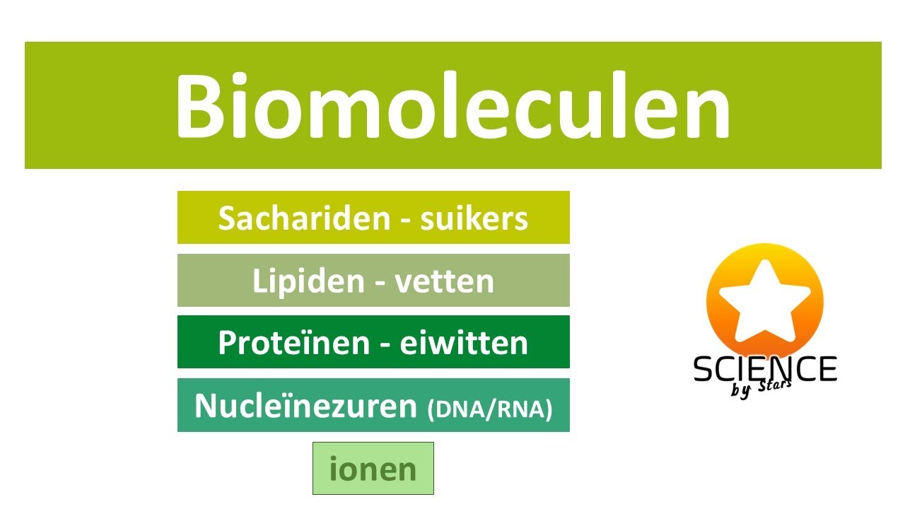 Biomoleculen: Ionen, sachariden, lipiden, proteïnen en nucleïnezuren.