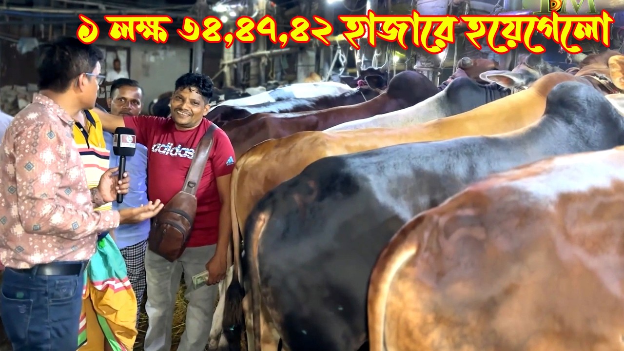 ৩ লক্ষ ৫৩ হাজারে আকরাম ভাই আজ ৪ গরু কিনে নিলো গাবতলী গরুর হাট থেকে #cowprice