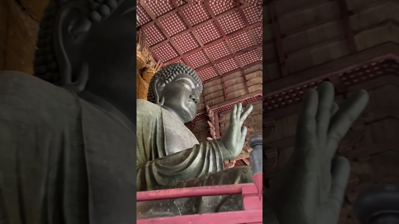 【圧倒的】存在感 奈良 東大寺の大仏様 