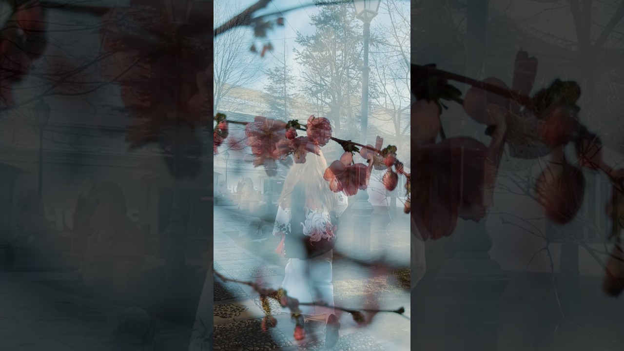 Сакура в Петербурге 🌸 Сад Дружбы 