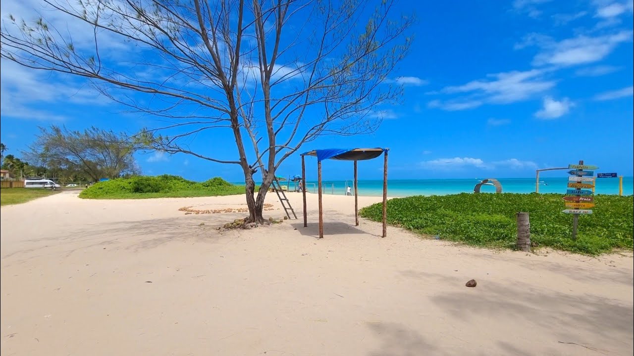 Maragogi Alagoas Praia Do Burgalhau Conheça Uma Das Mais Belas Da Região 4k