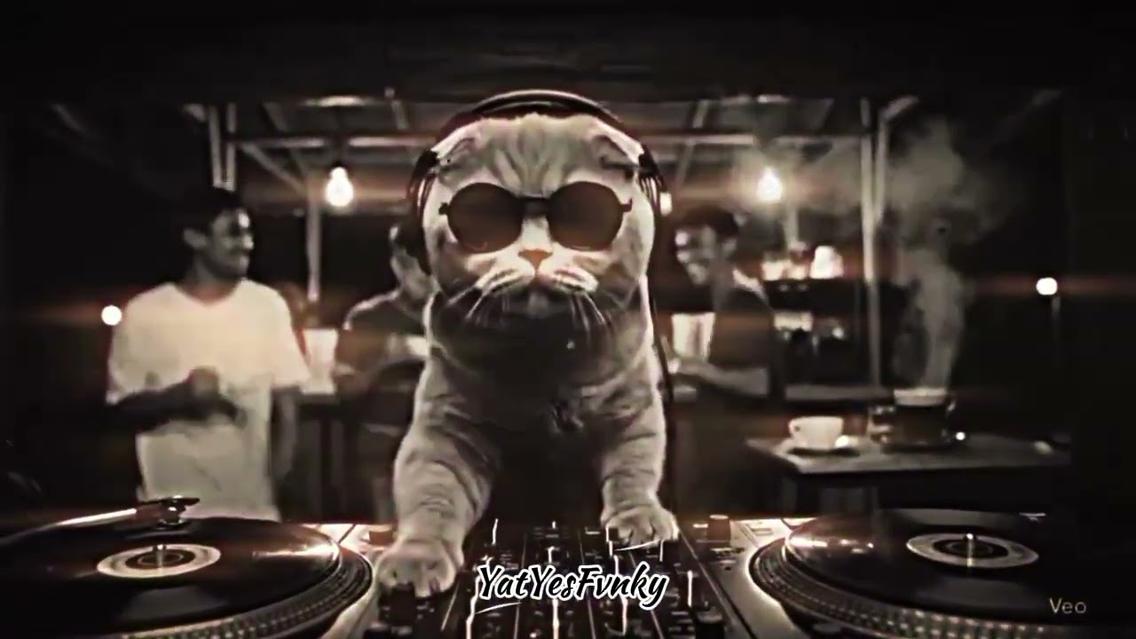 DJ KAMIN GAGAL SAD KANE YANG KALIAN CARI VIRAL TIKTOK MENGKANE TERBARU