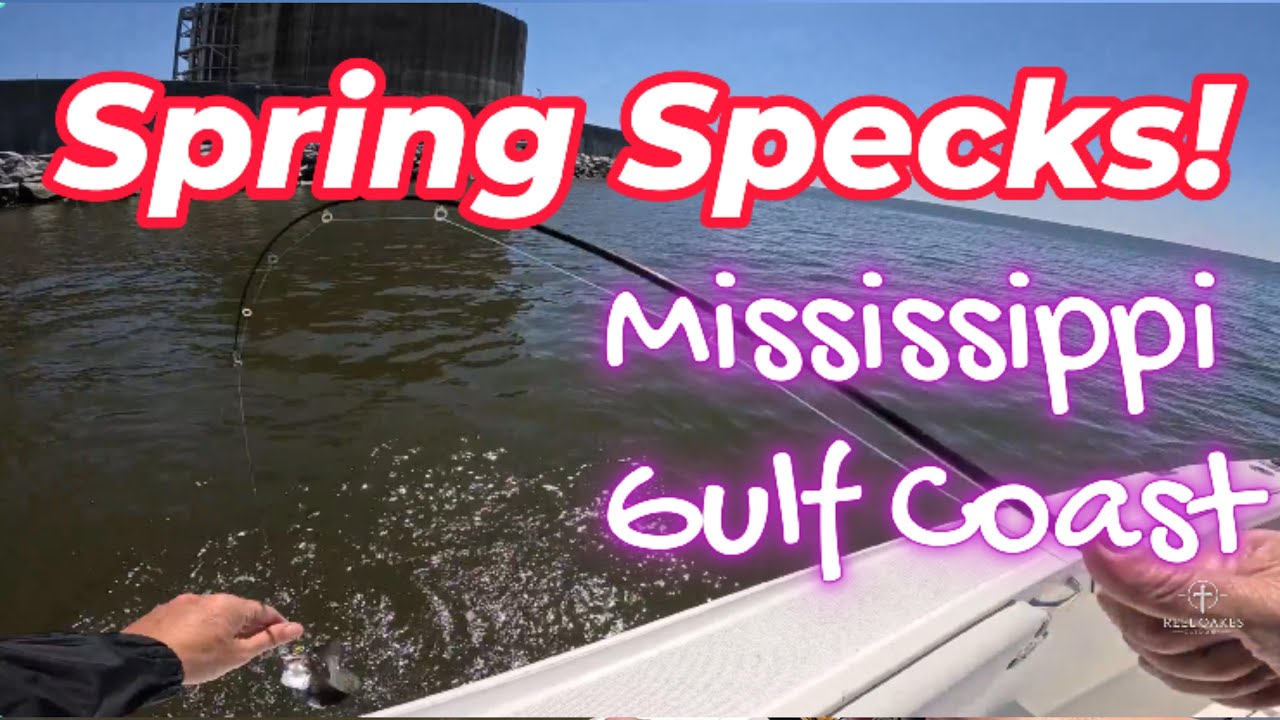 MASSIVE Speckled Trout Spring Bite! Honest Mistake Mississippi Fishing #speckledtrout #fishing