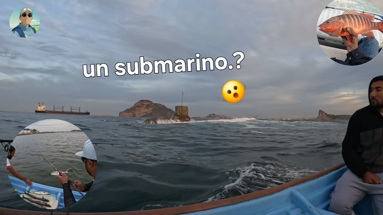 Buenas capturas serca del submarino de Mazatlán #fishing #pescadeportiva #Mazatlan 