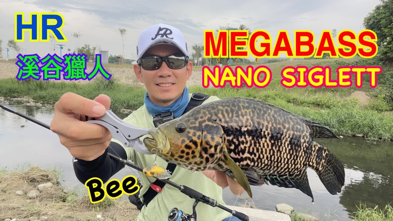 HR溪谷獵人2代水表蟬釣法教學(#AMO #CERTATE #台中 #MEGABASS #廖記米粉湯 #楊桃大王 #楊桃汁 #釣魚 #fishing #topwater #patagonia )