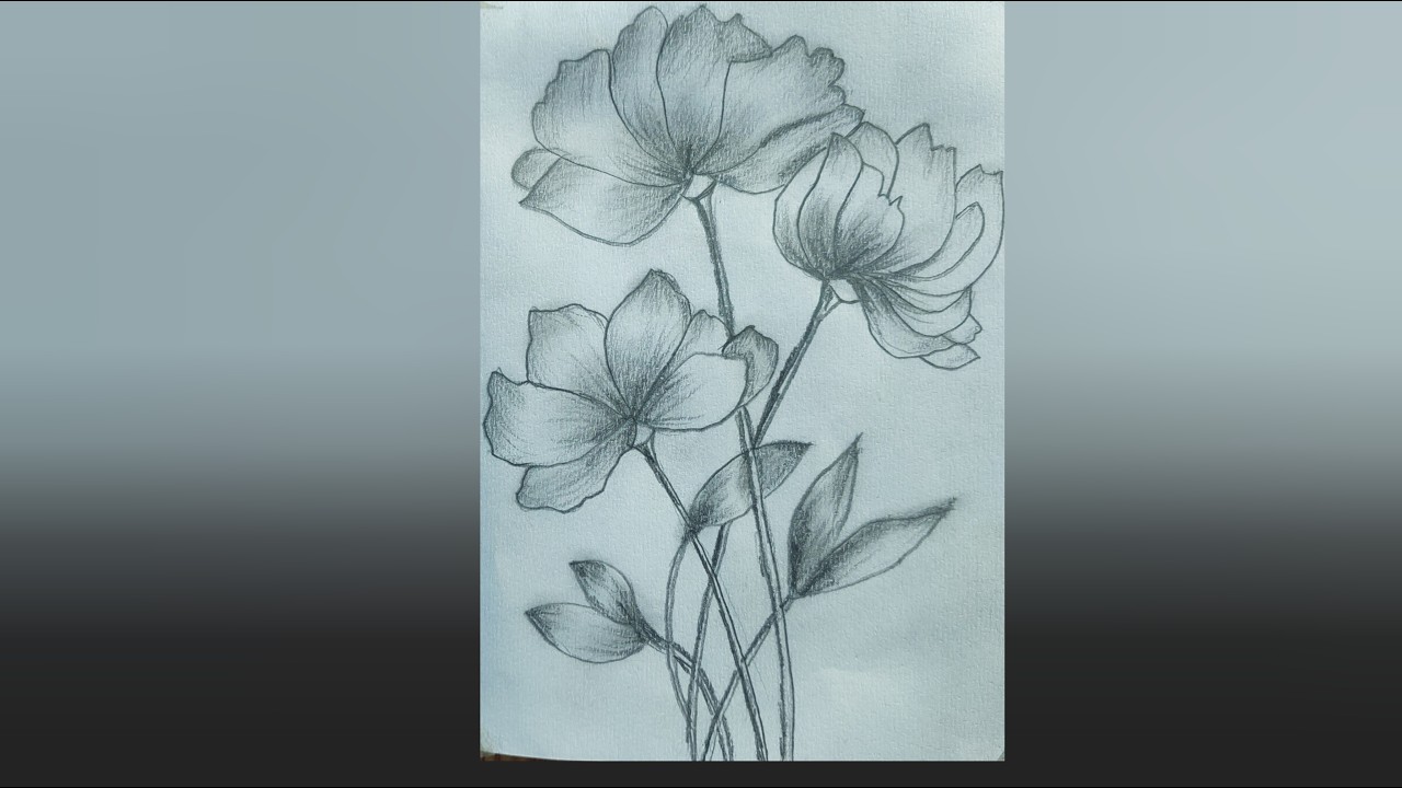 Easy Flower Drawing for Beginners | Asma Pencil Art