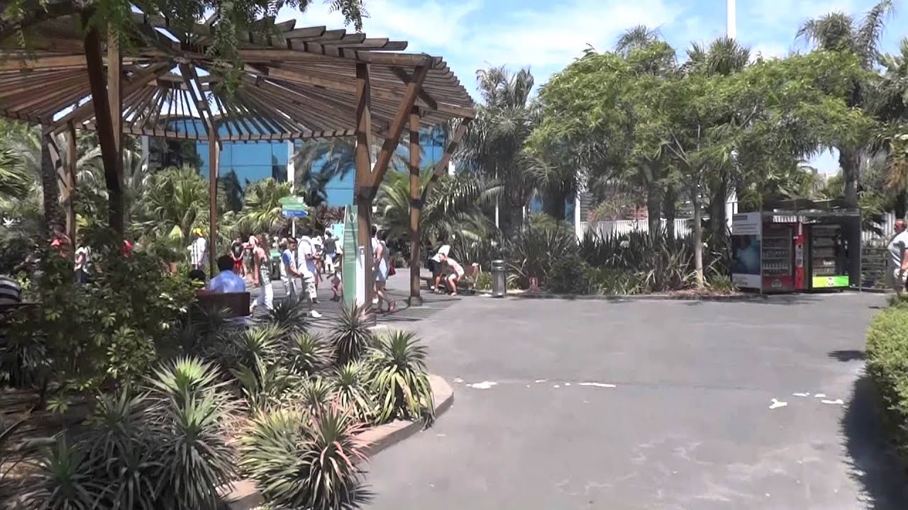 Valencia - Oceanografic tour