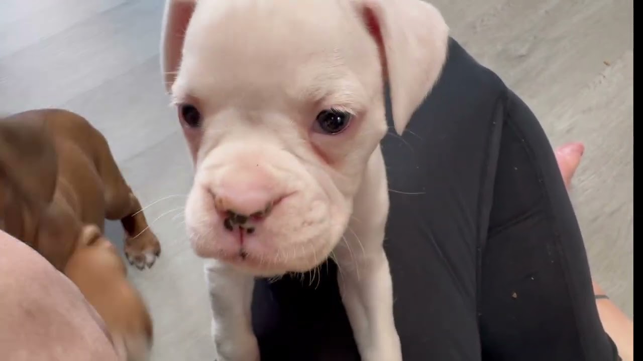 All the bitey things! 