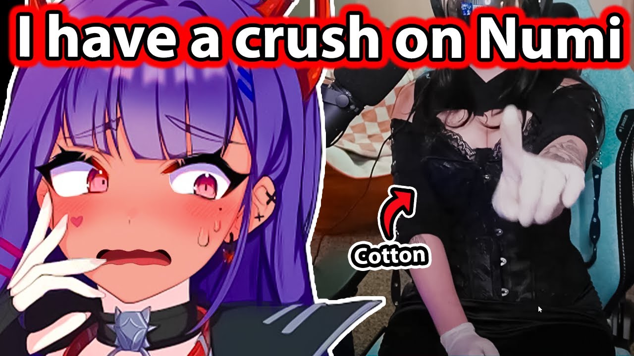 Numi Found Out About Cotton's Crush And Confronted Her On Stream...