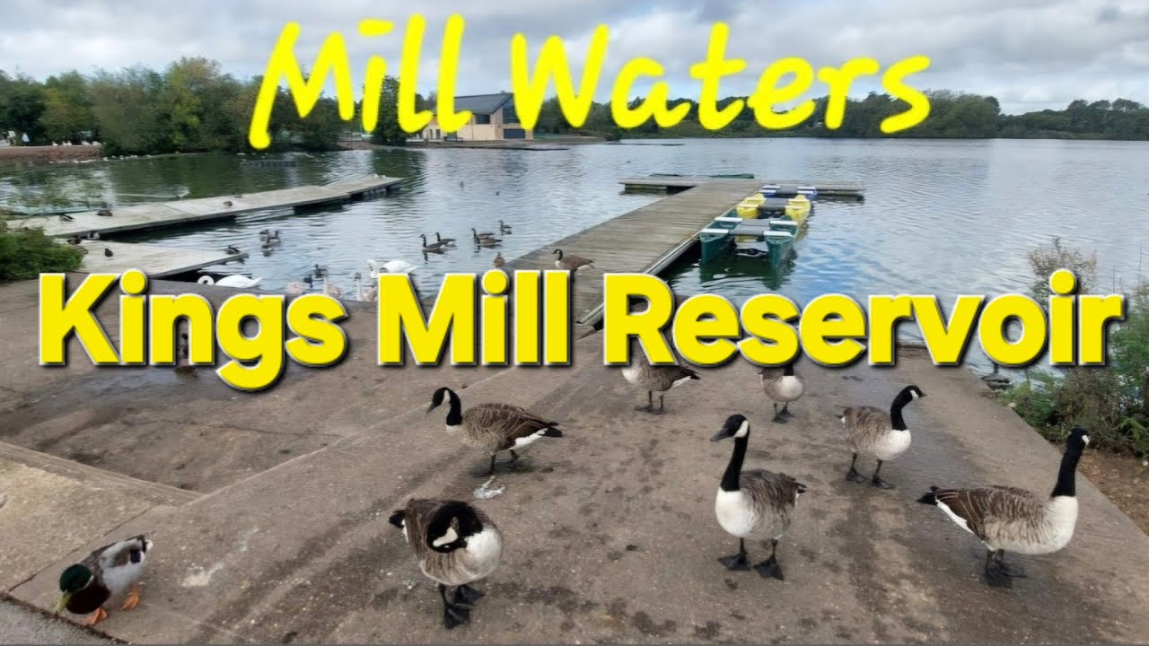 Kings mill Reservoir - Mill Waters - Sutton-in-Ashfield / Mansfield - Nottinghamshire England UK 🇬🇧