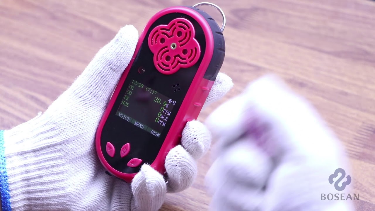 K-400 Portable Multi-gas Detector-Bosean