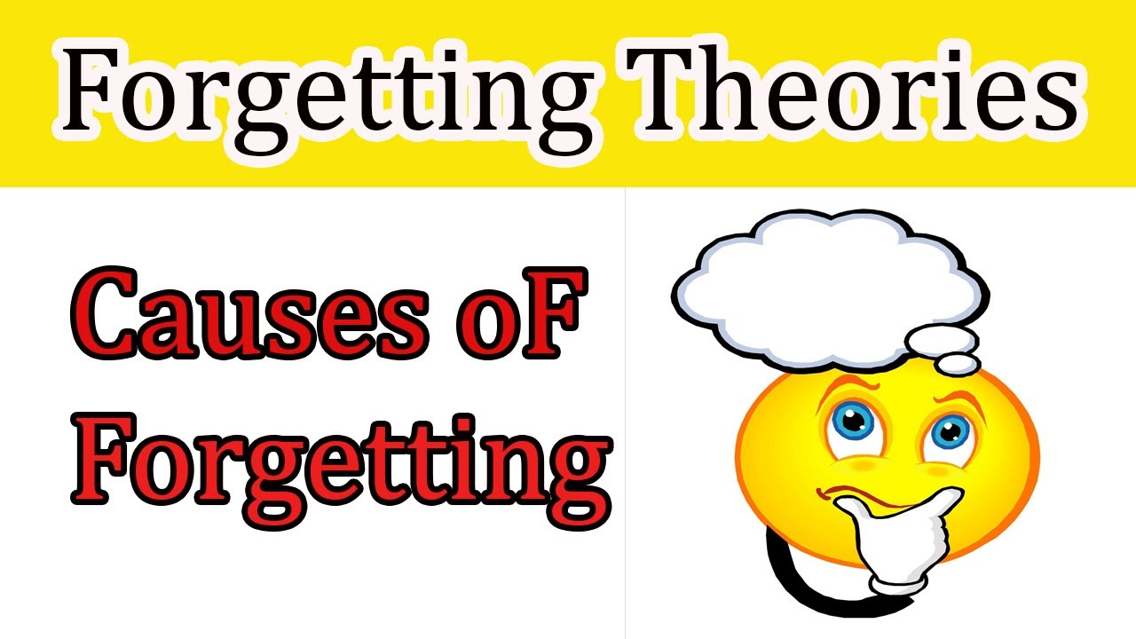 Forgetting Theories in Psychology | Causes Of Forgetting | Definition Of Forgetting In Urdu/Hindi