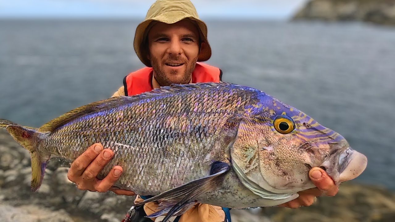 SOLO ROCK FISHING ADVENTURE | Queen Snapper | Catch and Cook