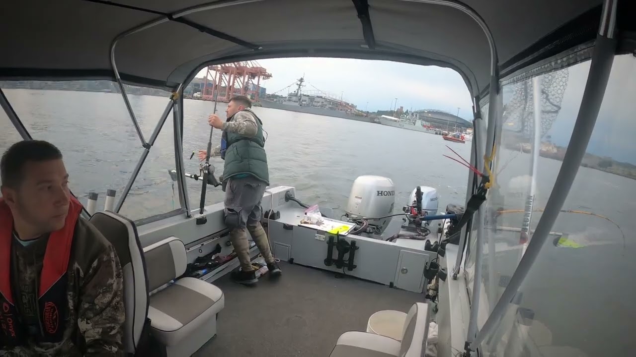 Seattle King salmon, August 2023