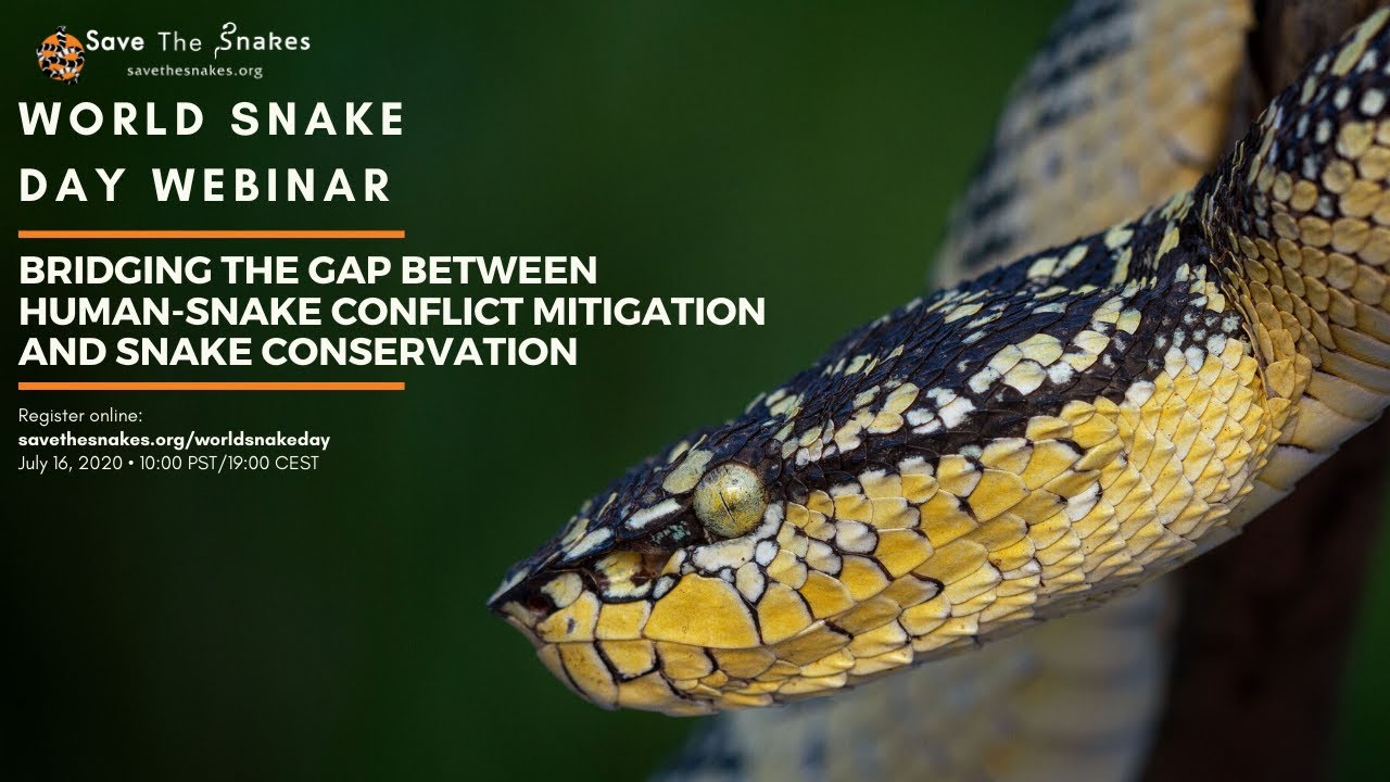 Bridging the Gap Between Snake Conservation and Human-Snake Conflict Mitigation