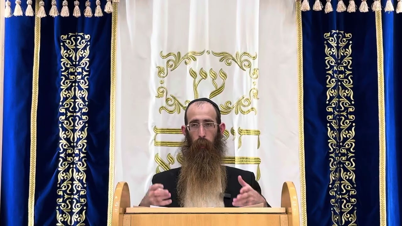 ״ נביא  שמואל א פרק ו  שביה של ארון הברית מהפלישטים ״ שיעור עם הרב לוי פלדמן
