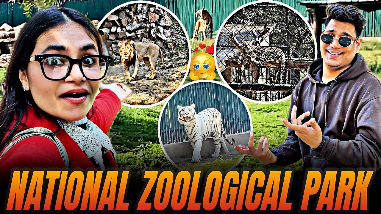  Zoo Mein White Tiger Ne Dara Diya! 😱| FULL ZOO VLOG | Delhi National Zoological Park | 