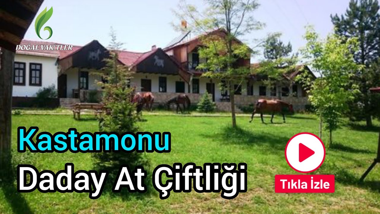 Çömlekçiler At Çiftliği Daday | Horse Farm, Daday | Bungalov evleri atlı turizm