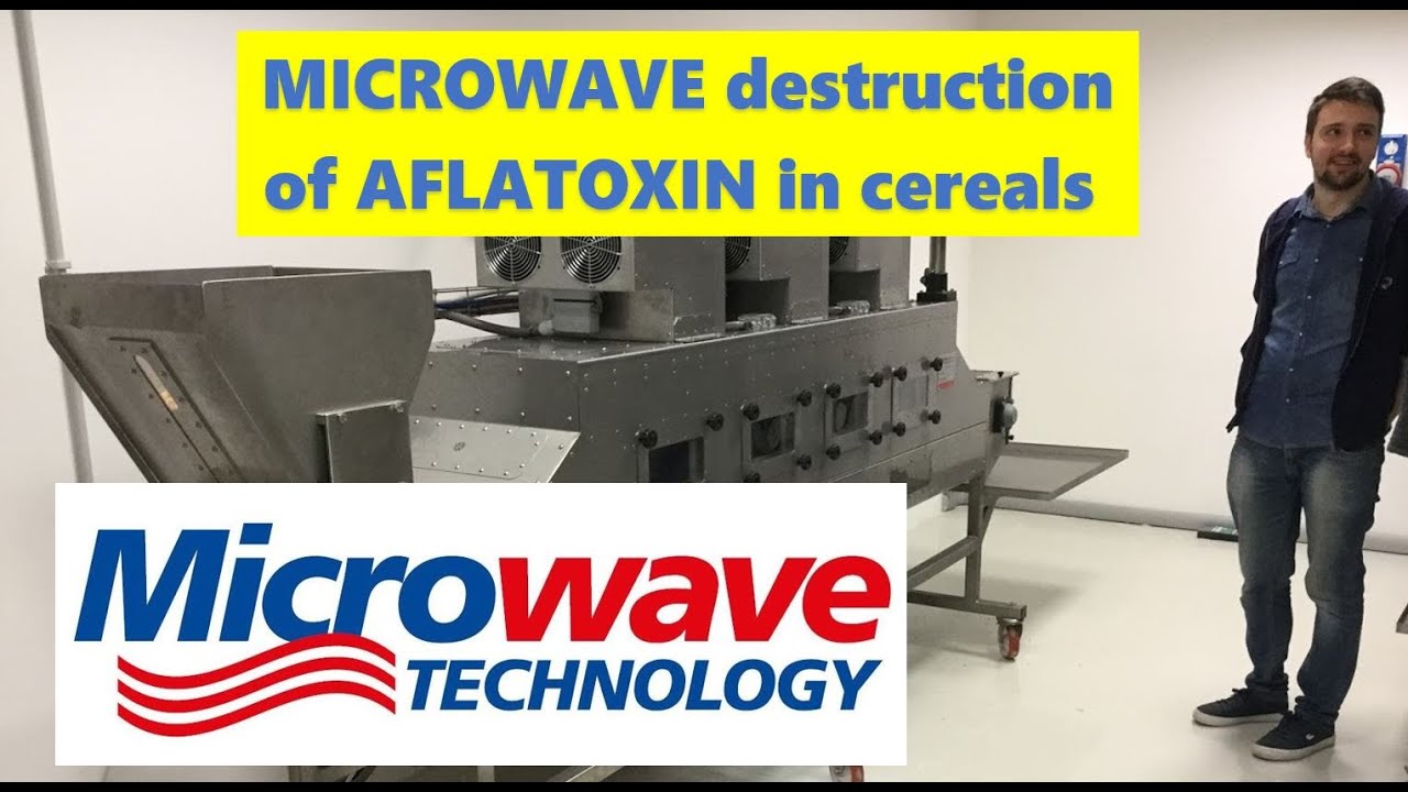 Aflatoxin destruction by MICROWAVE radiation