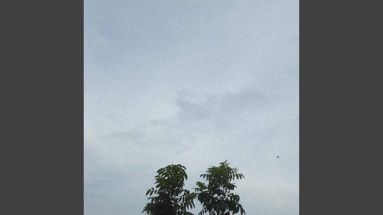 Tanan