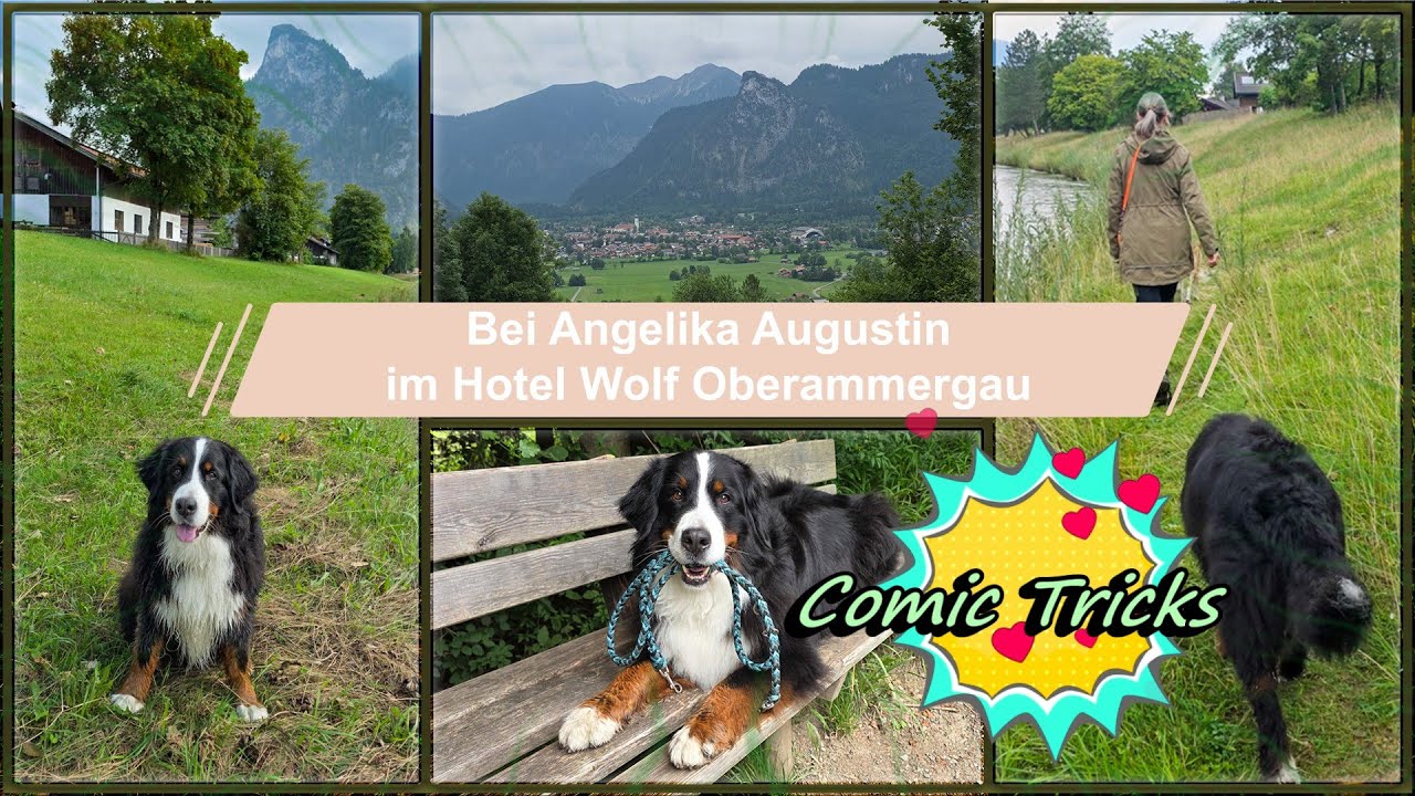 Comic Tricks bei Angelika Augustin im Hotel Wolf Oberammergau