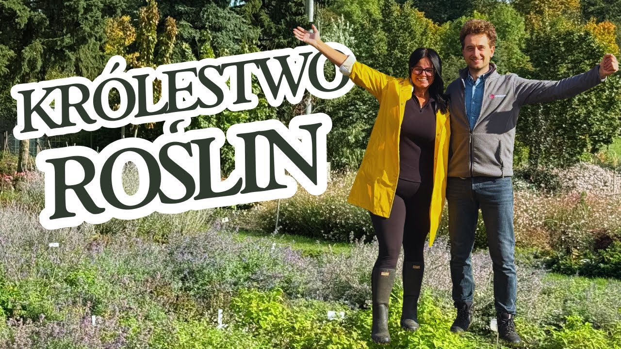 Zapraszam Was do królestwa roślin!