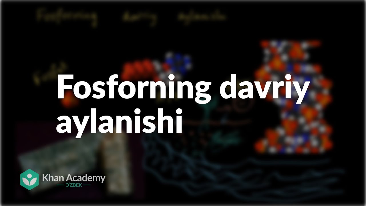 Fosforning davriy aylanishi | Ekologiya | Biologiya