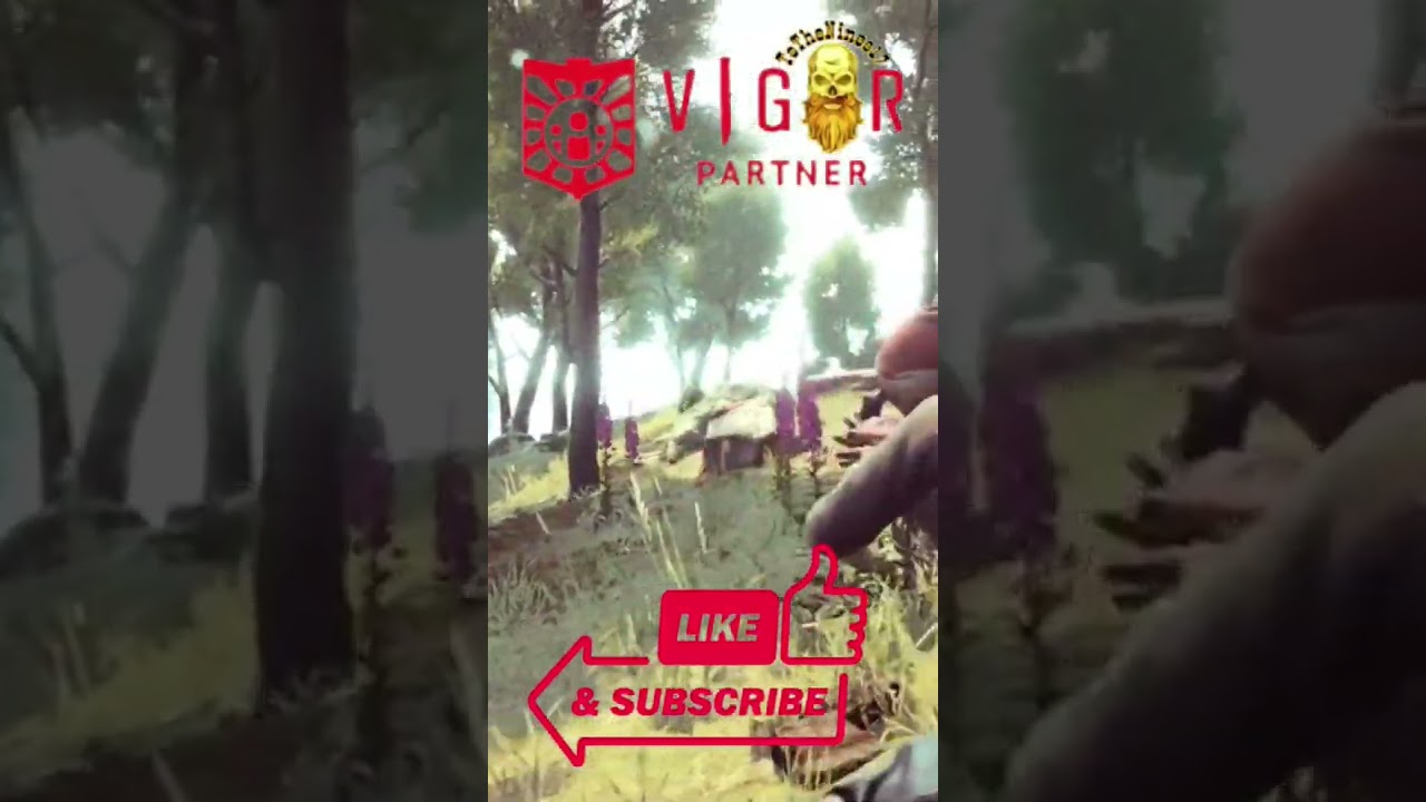 PARA love affair #vigorpartner #vigorthegame #staygold