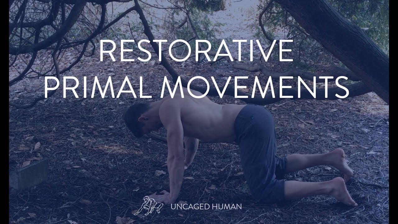 Four Primal Movements That Restore and Reconnect the Body