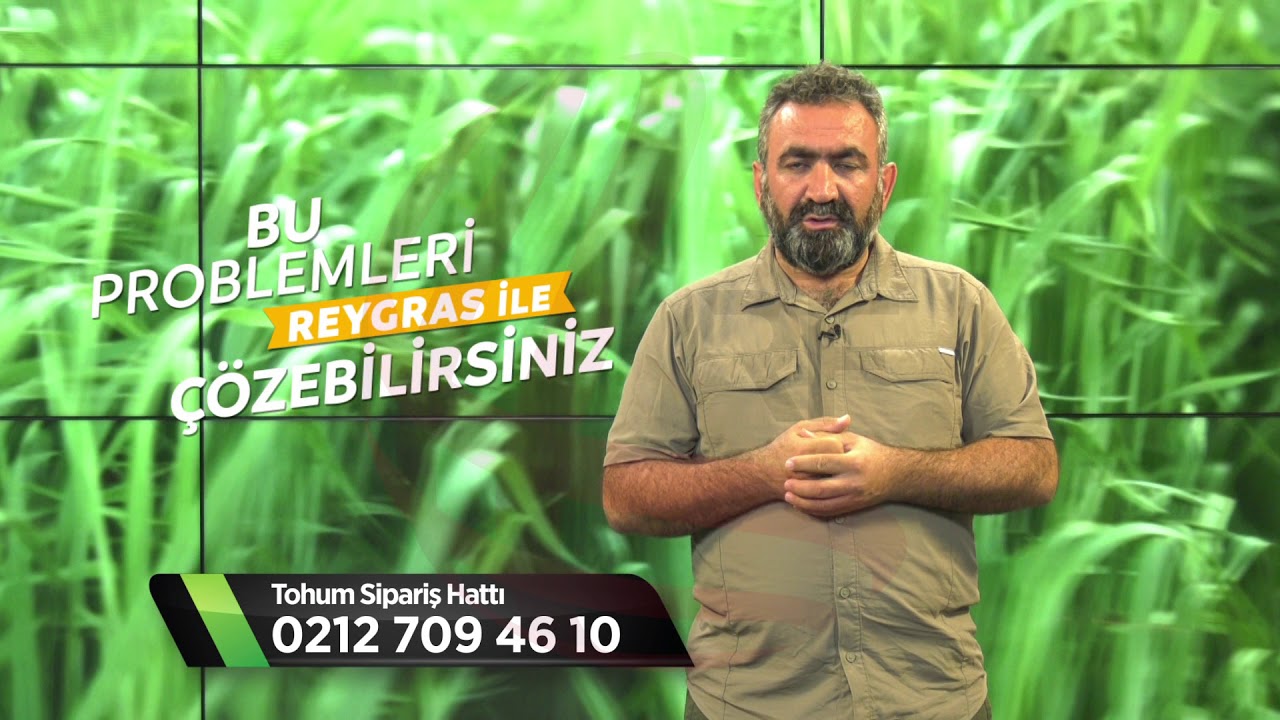 1-Neden Reygras Ekmeliyiz ?