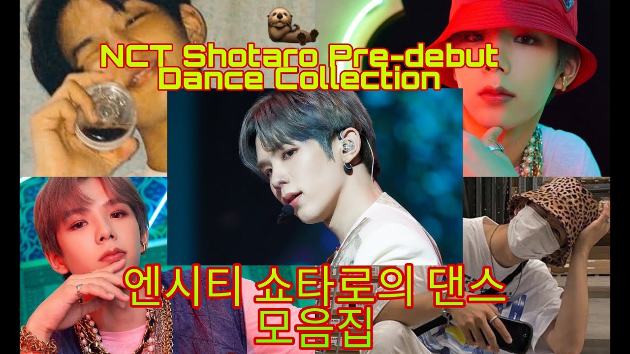 [라이즈 쇼타로 / RIIZE SHOTARO] 댄스 모음 / Pre-debut Dance Compilation