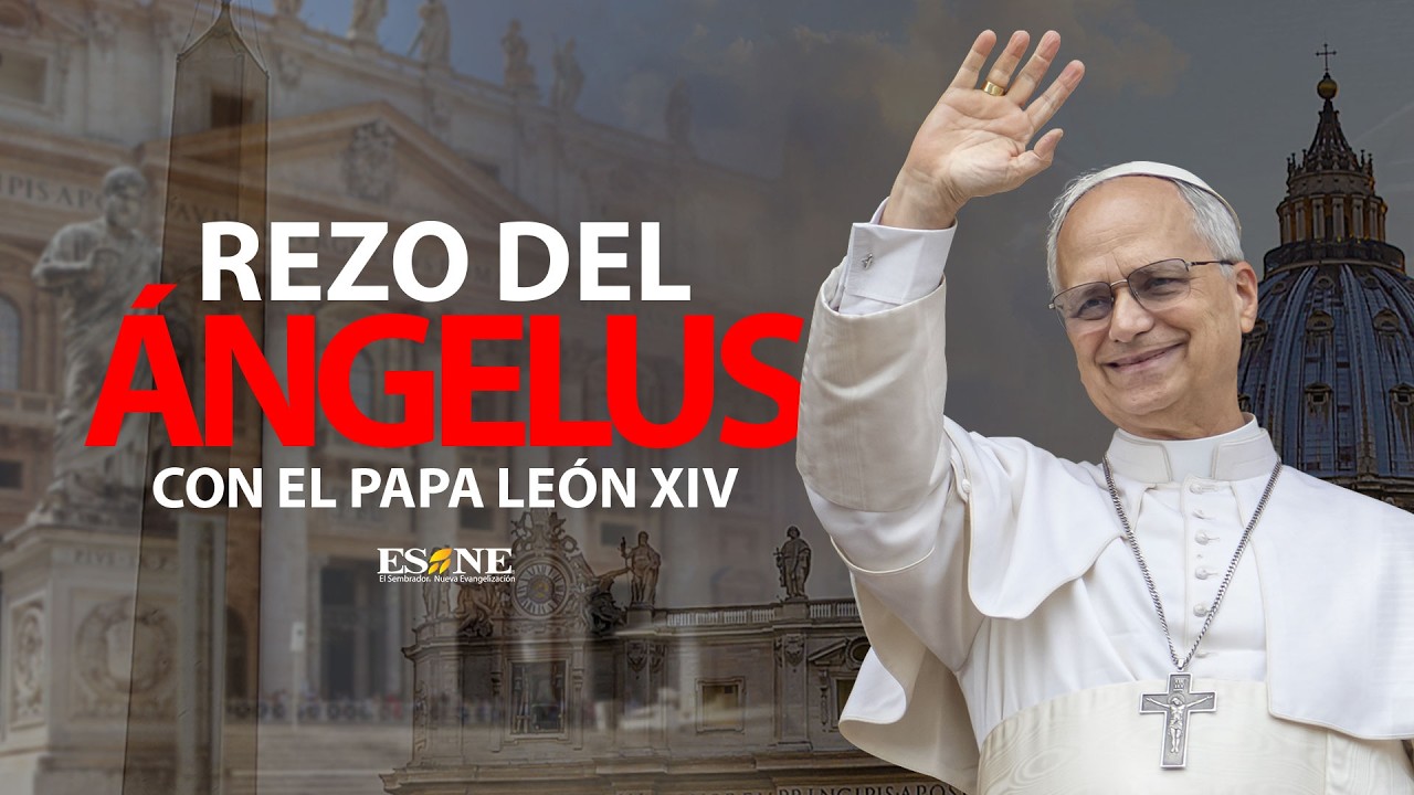 08-Febrero-2026 -El Ángelus con el Papa León XIV desde la Plaza de San Pedro.