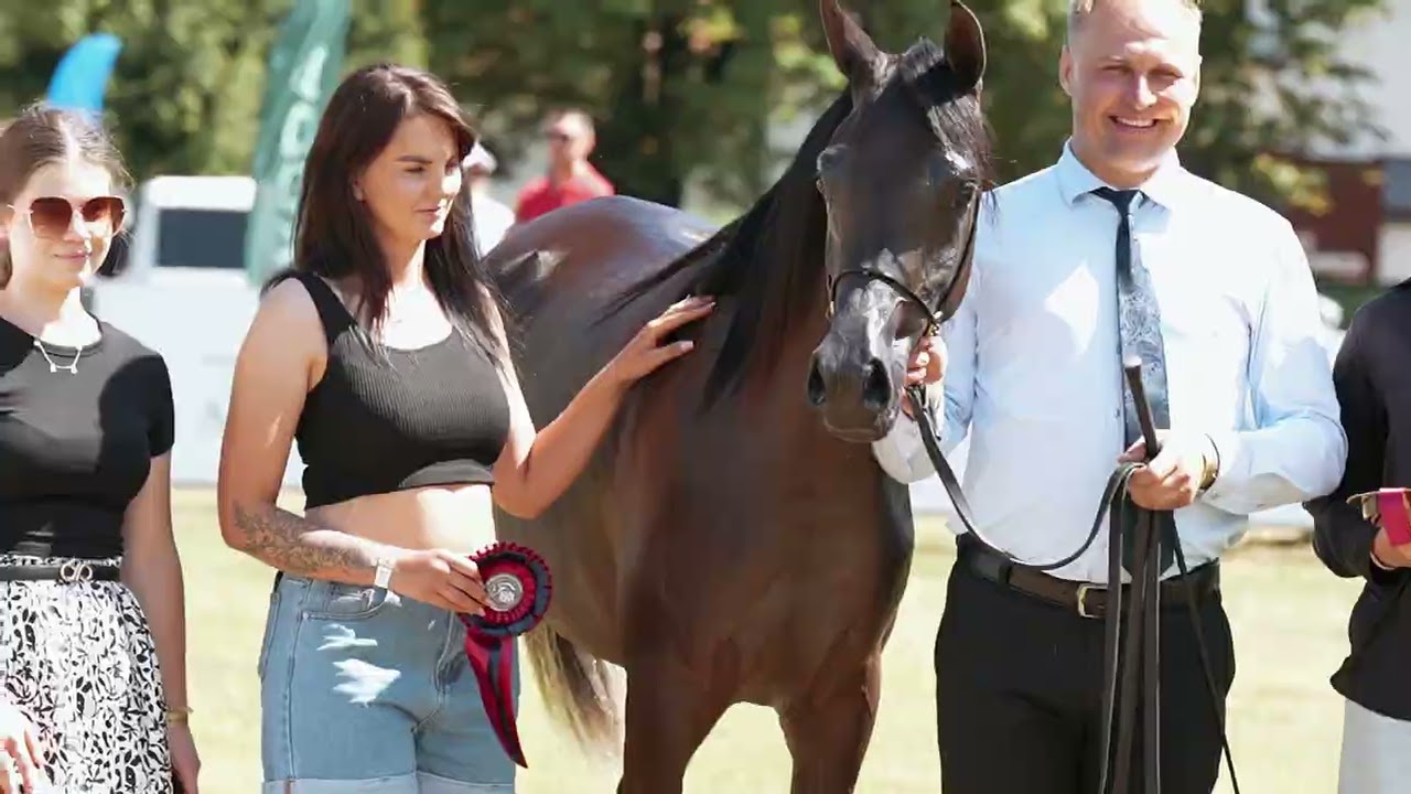 All-Polish Arabian Horse Championship 2025