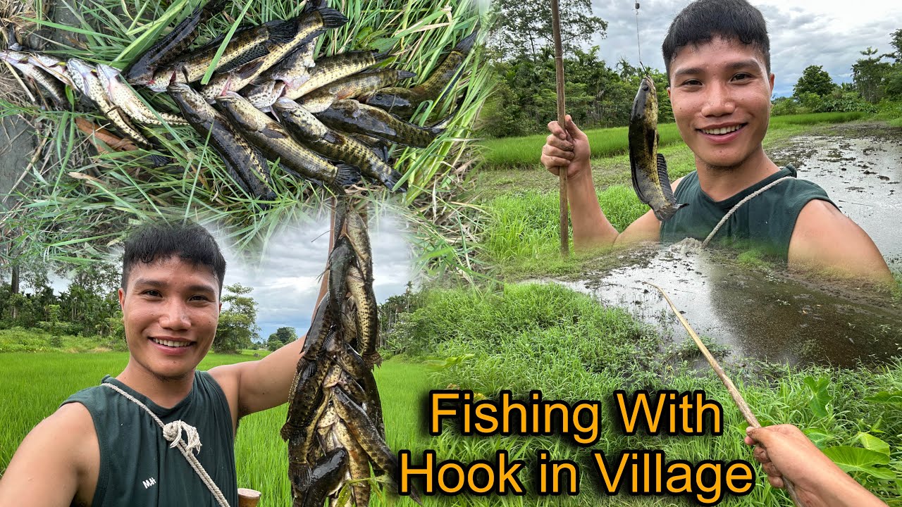 Fishing With Hook In Village || Amazing Fishing Experience in Village || Catching Many Fishes 😀