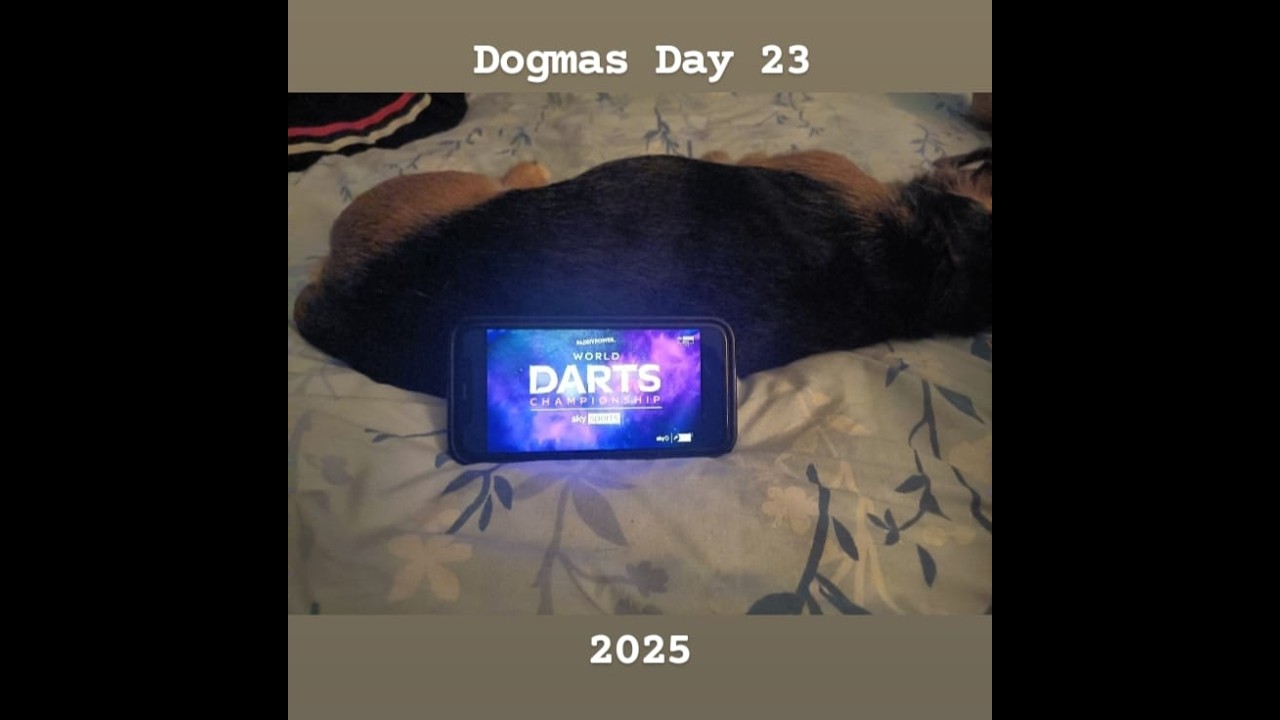 Dogmas Day 23 2025