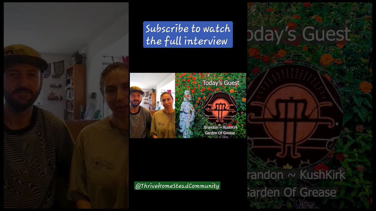 Legends of Cannabis Interview ~ Kushkirk | Garden of Grease #CannabisCommunity #hashish #short